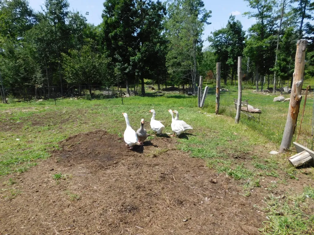 535 Betts Road Bucksport ME 04474