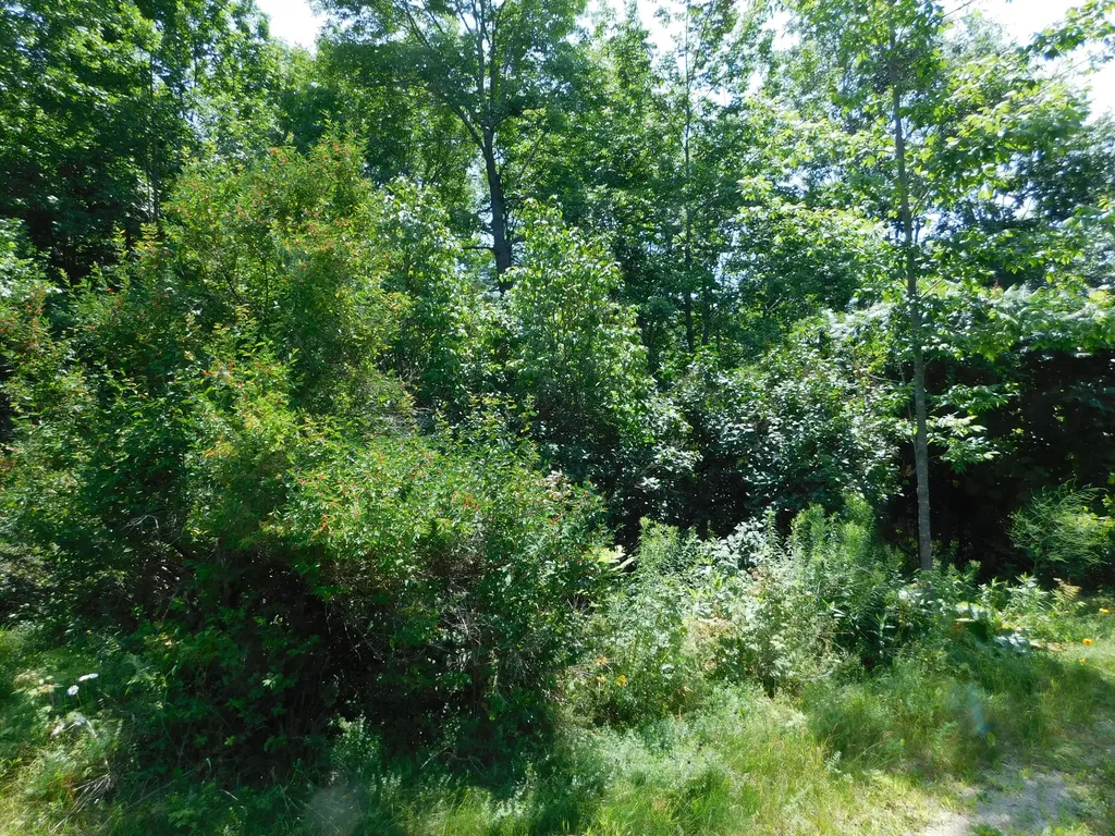 535 Betts Road Bucksport ME 04474