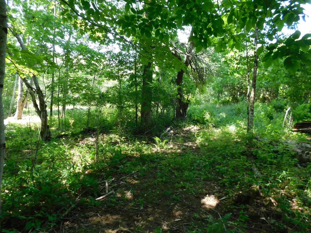 535 Betts Road Bucksport ME 04474