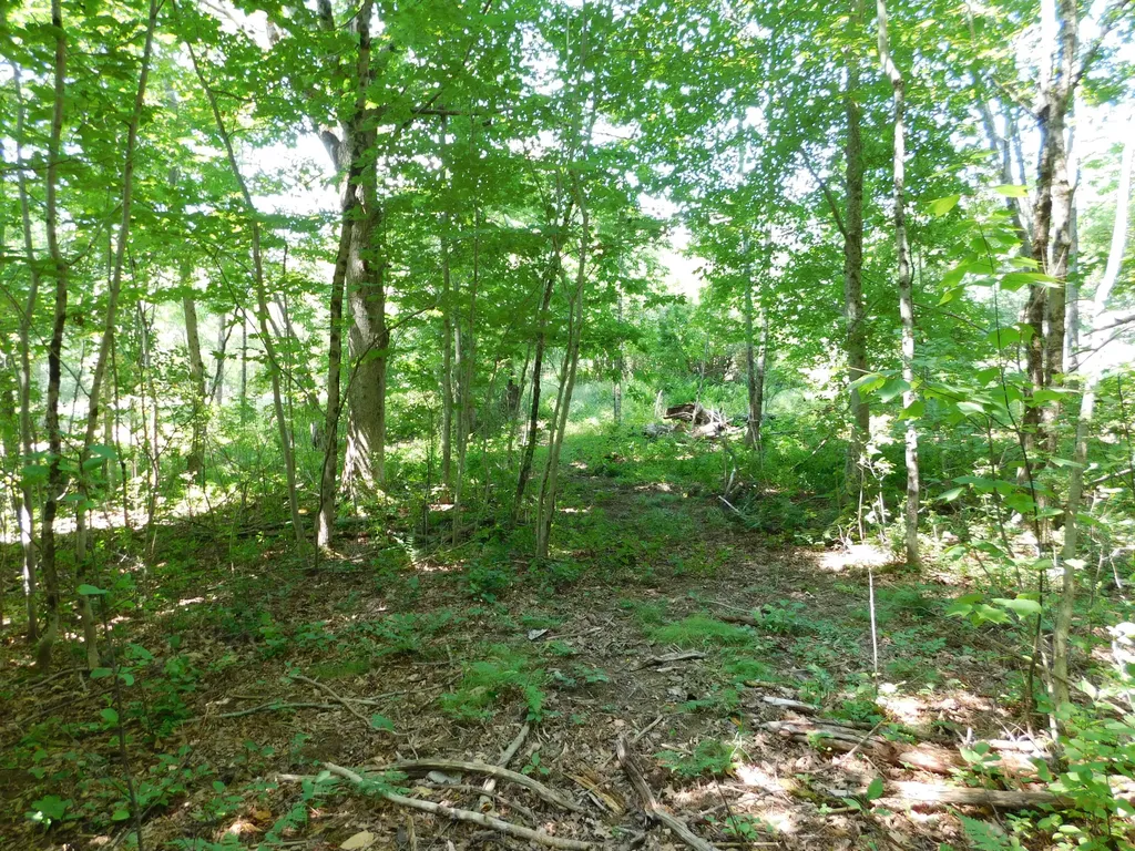 535 Betts Road Bucksport ME 04474