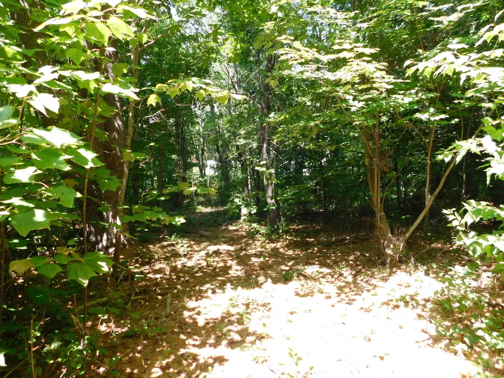 535 Betts Road Bucksport ME 04474