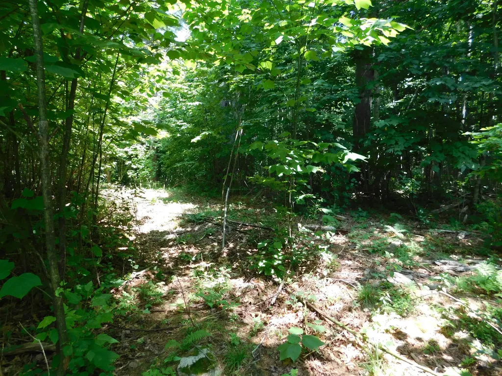 535 Betts Road Bucksport ME 04474