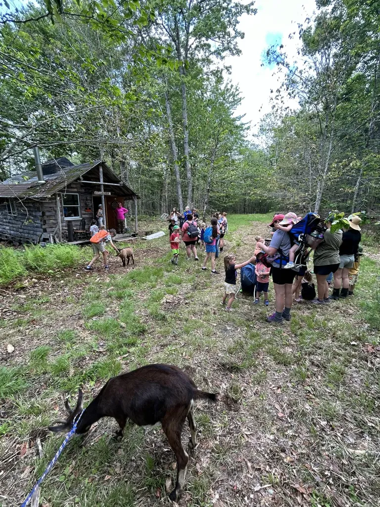 535 Betts Road Bucksport ME 04474