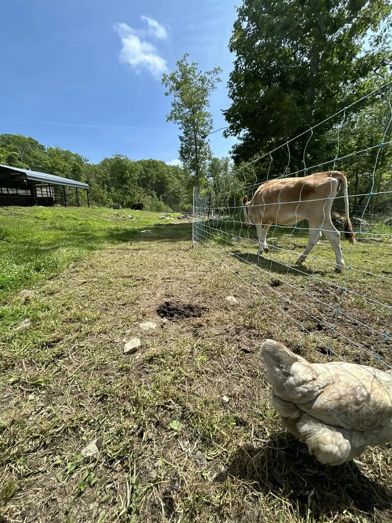 535 Betts Road Bucksport ME 04474