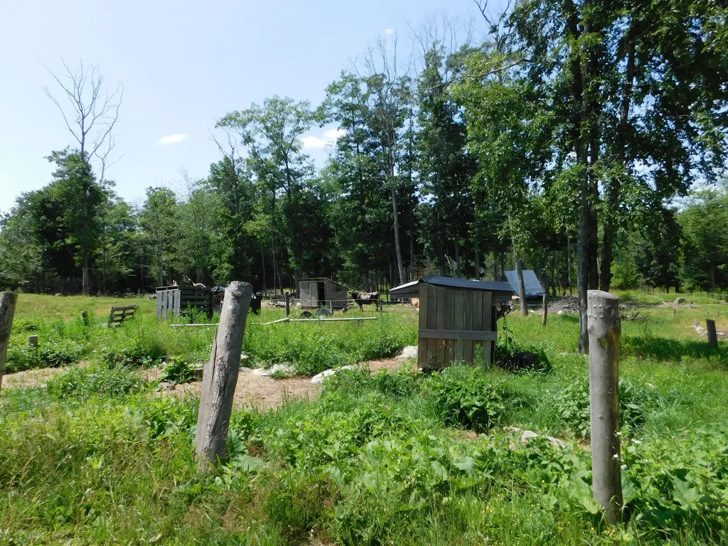 535 Betts Road Bucksport ME 04474