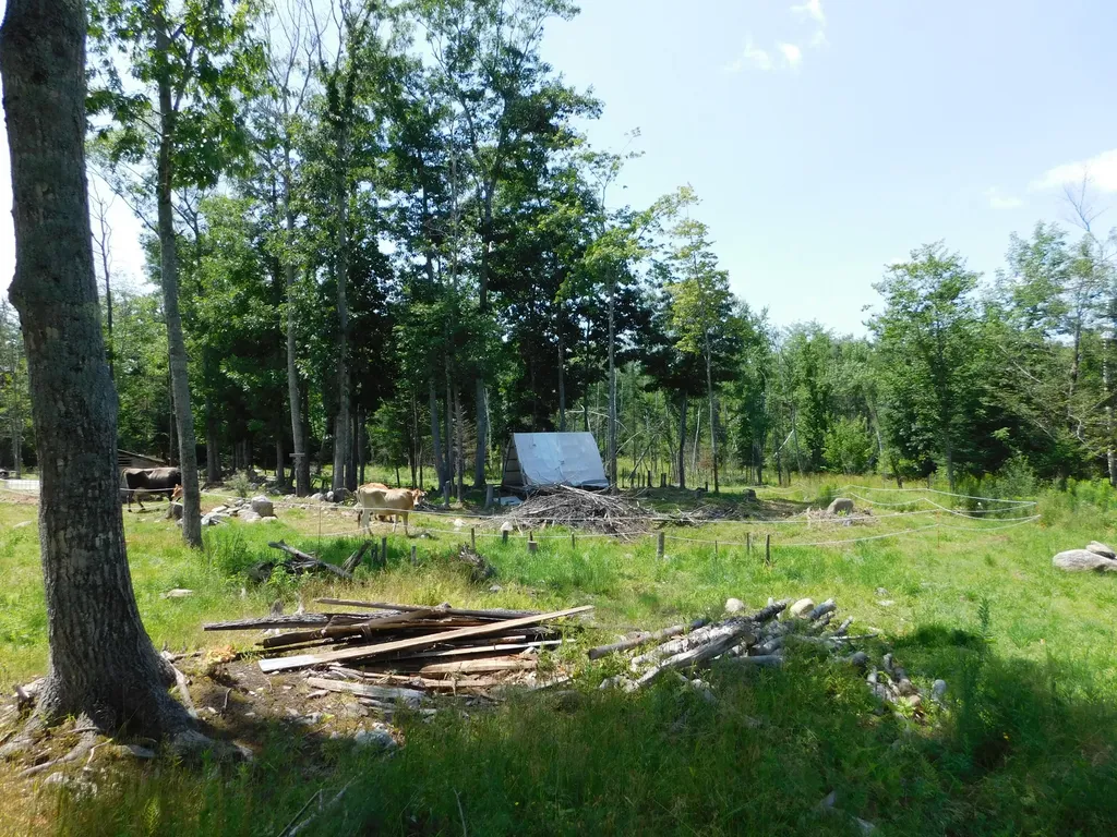 535 Betts Road Bucksport ME 04474