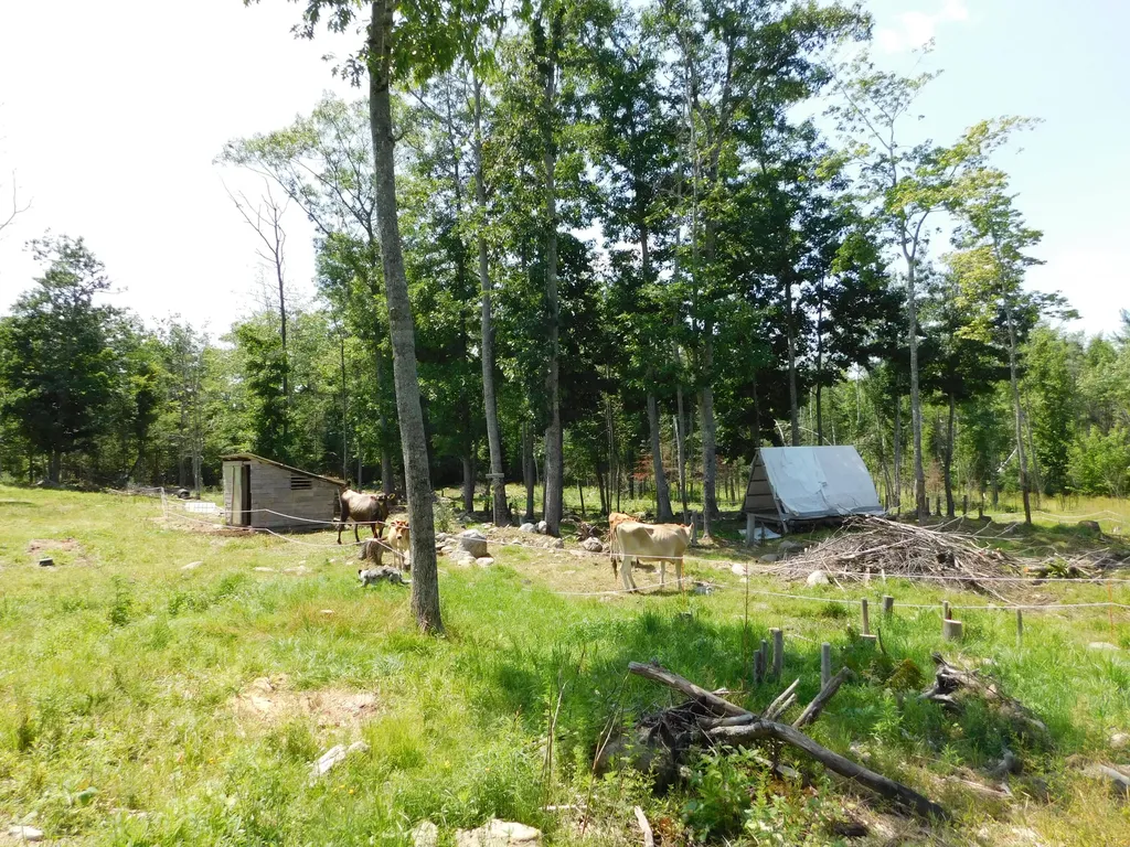 535 Betts Road Bucksport ME 04474