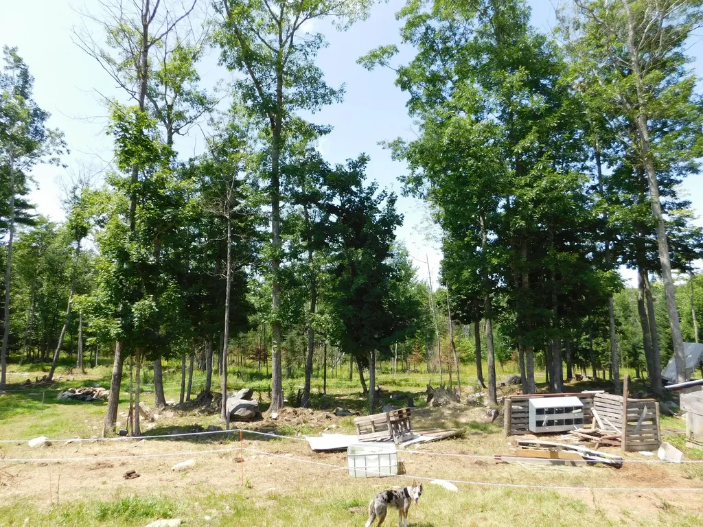 535 Betts Road Bucksport ME 04474