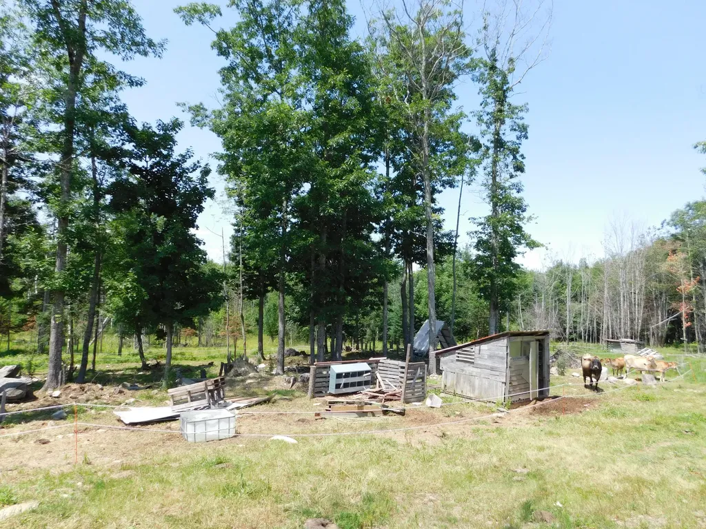 535 Betts Road Bucksport ME 04474