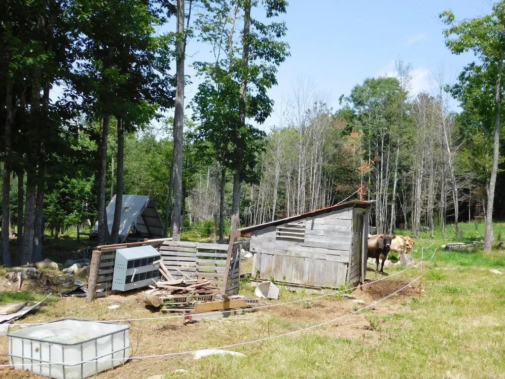 535 Betts Road Bucksport ME 04474