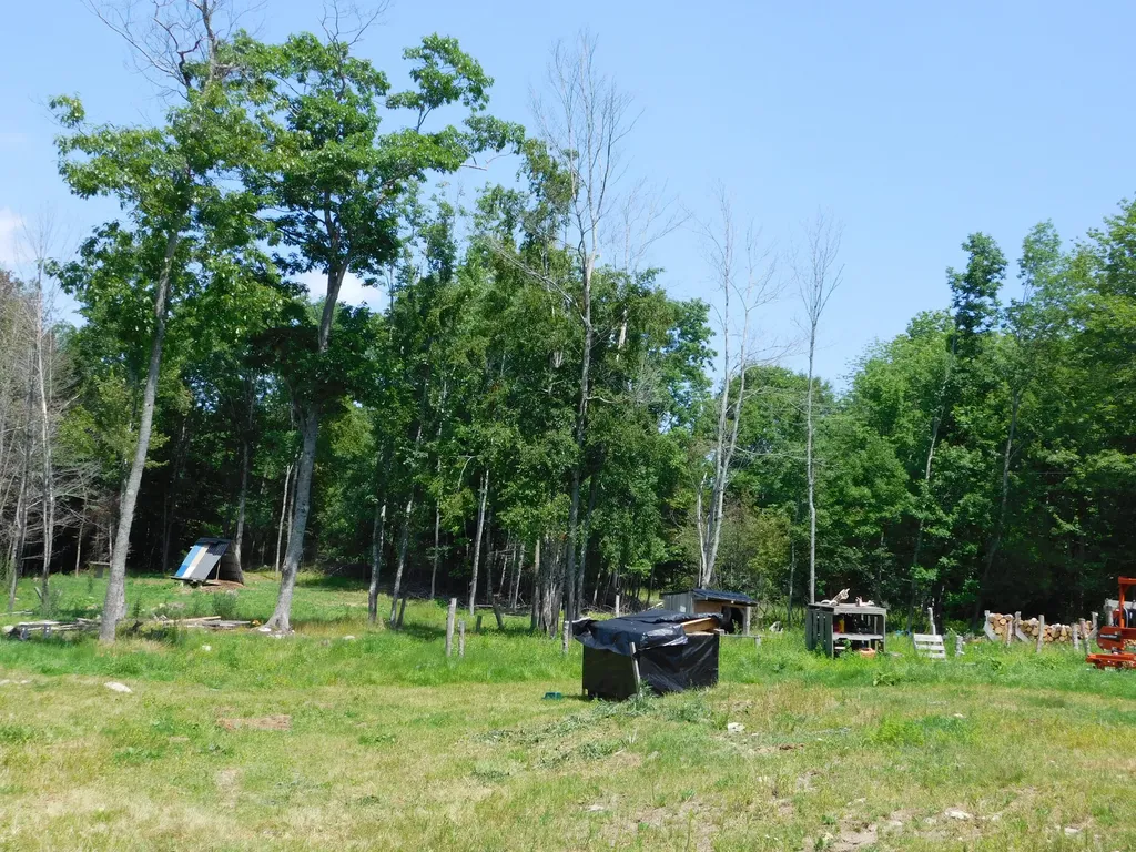 535 Betts Road Bucksport ME 04474