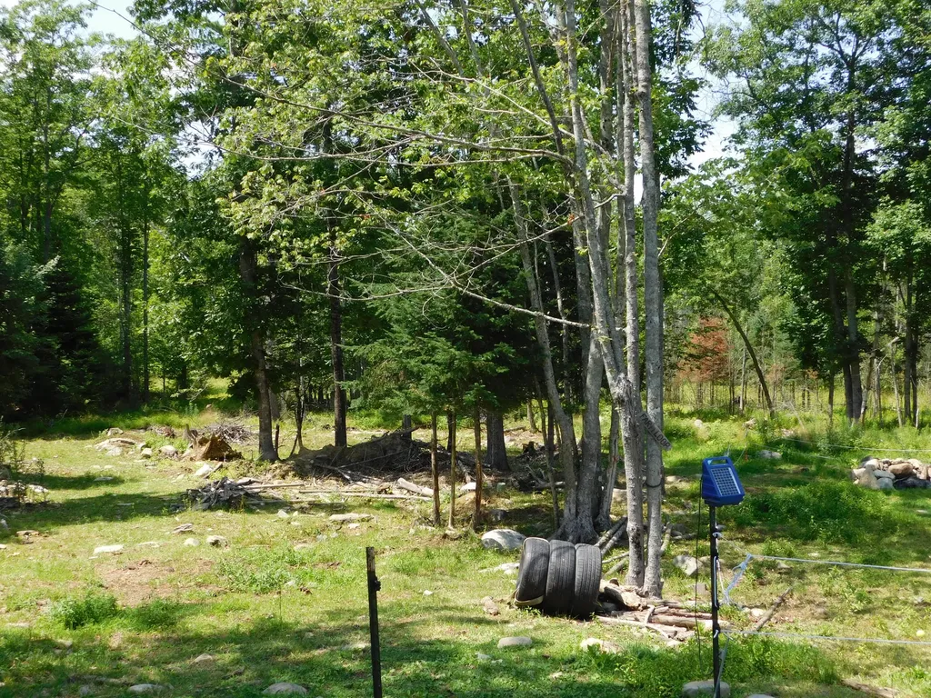 535 Betts Road Bucksport ME 04474
