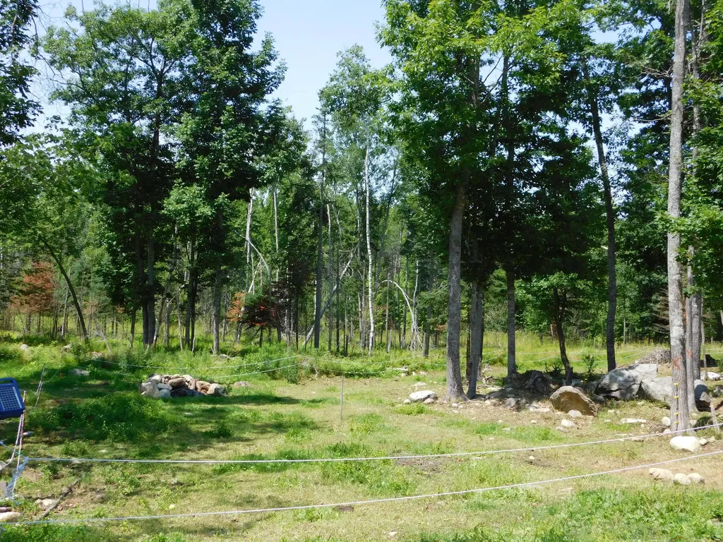 535 Betts Road Bucksport ME 04474