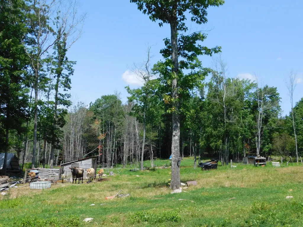 535 Betts Road Bucksport ME 04474