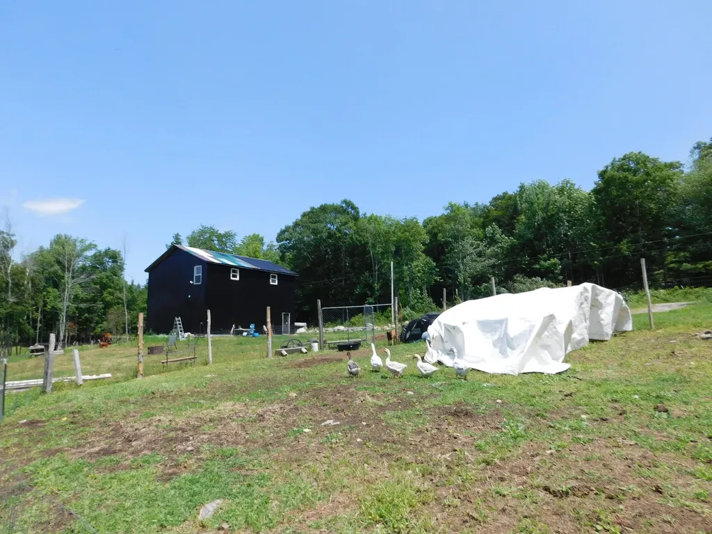 535 Betts Road Bucksport ME 04474