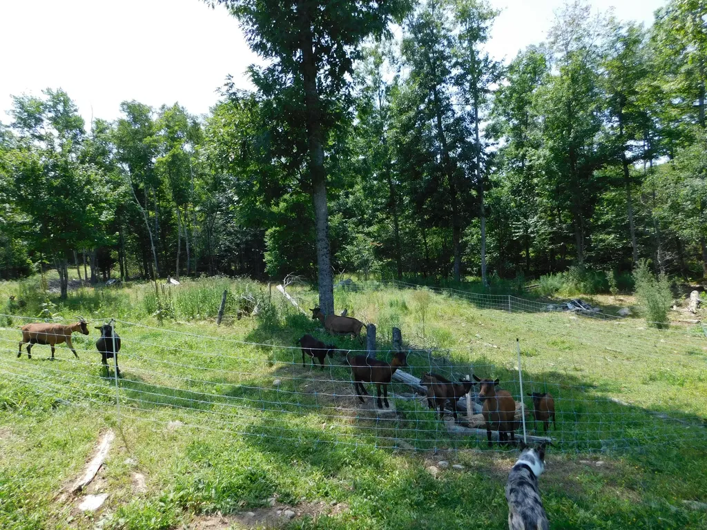 535 Betts Road Bucksport ME 04474