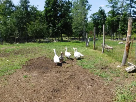 535 Betts Road Bucksport ME 04474