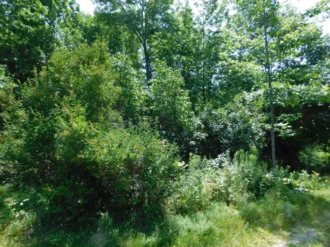 535 Betts Road Bucksport ME 04474