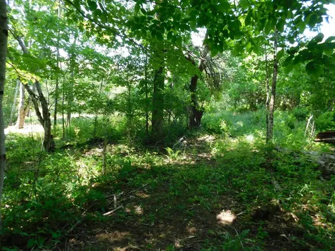 535 Betts Road Bucksport ME 04474