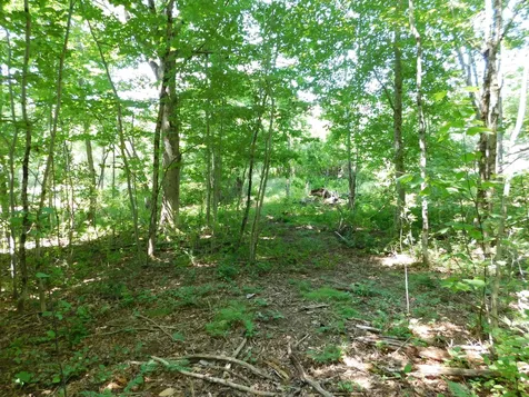 535 Betts Road Bucksport ME 04474