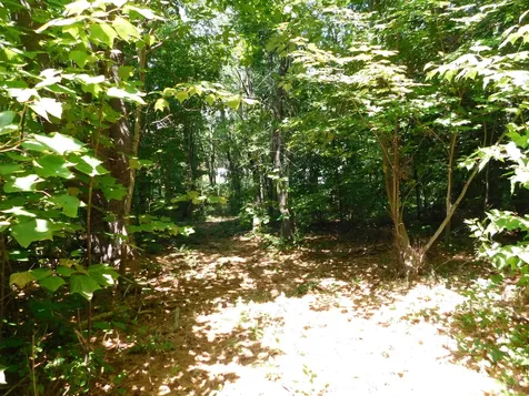 535 Betts Road Bucksport ME 04474