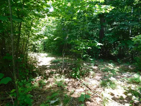 535 Betts Road Bucksport ME 04474