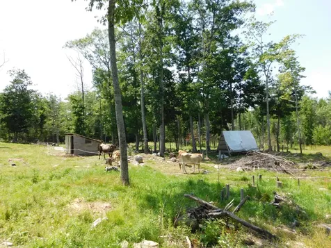 535 Betts Road Bucksport ME 04474