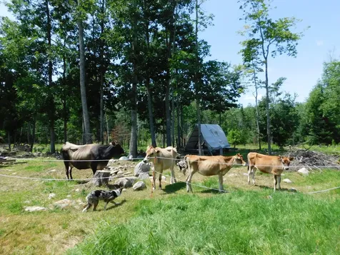 535 Betts Road Bucksport ME 04474