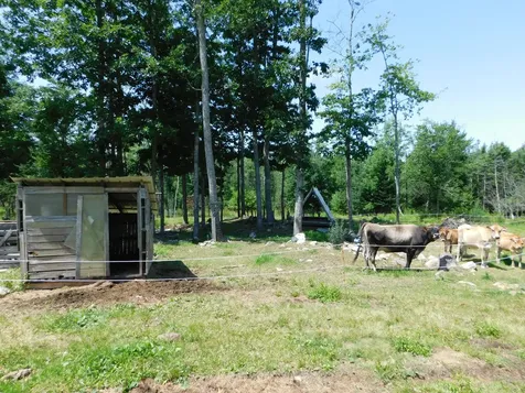 535 Betts Road Bucksport ME 04474