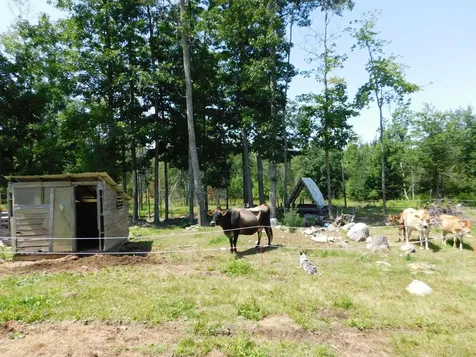 535 Betts Road Bucksport ME 04474