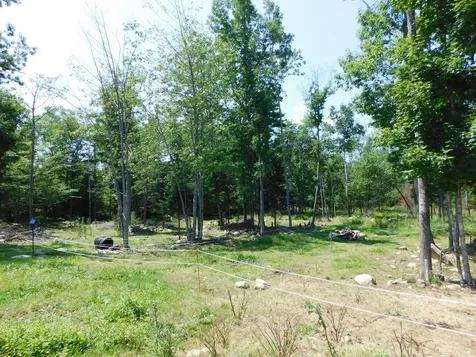 535 Betts Road Bucksport ME 04474