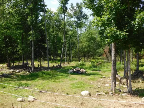 535 Betts Road Bucksport ME 04474