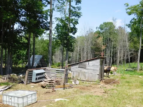 535 Betts Road Bucksport ME 04474