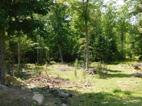 535 Betts Road Bucksport ME 04474