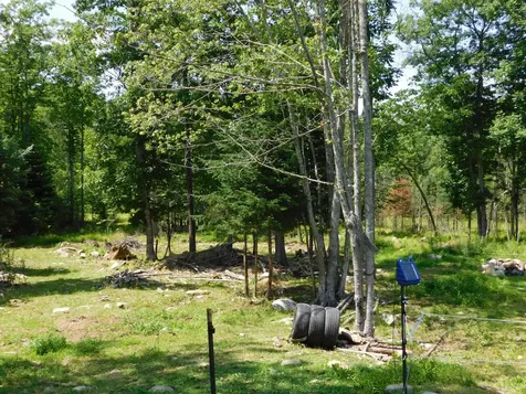 535 Betts Road Bucksport ME 04474