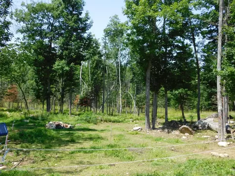 535 Betts Road Bucksport ME 04474
