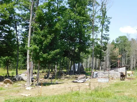 535 Betts Road Bucksport ME 04474