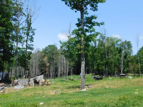 535 Betts Road Bucksport ME 04474