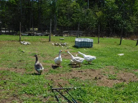 535 Betts Road Bucksport ME 04474