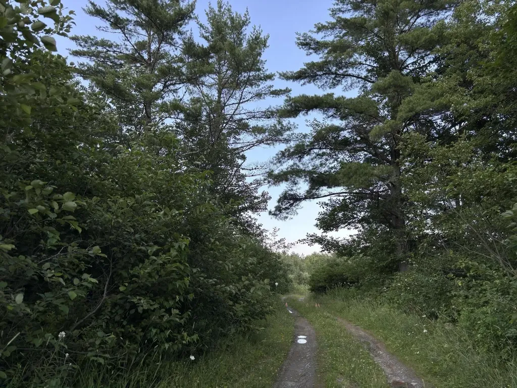 Lot 4/4a N Horseback Road Burnham ME 04922