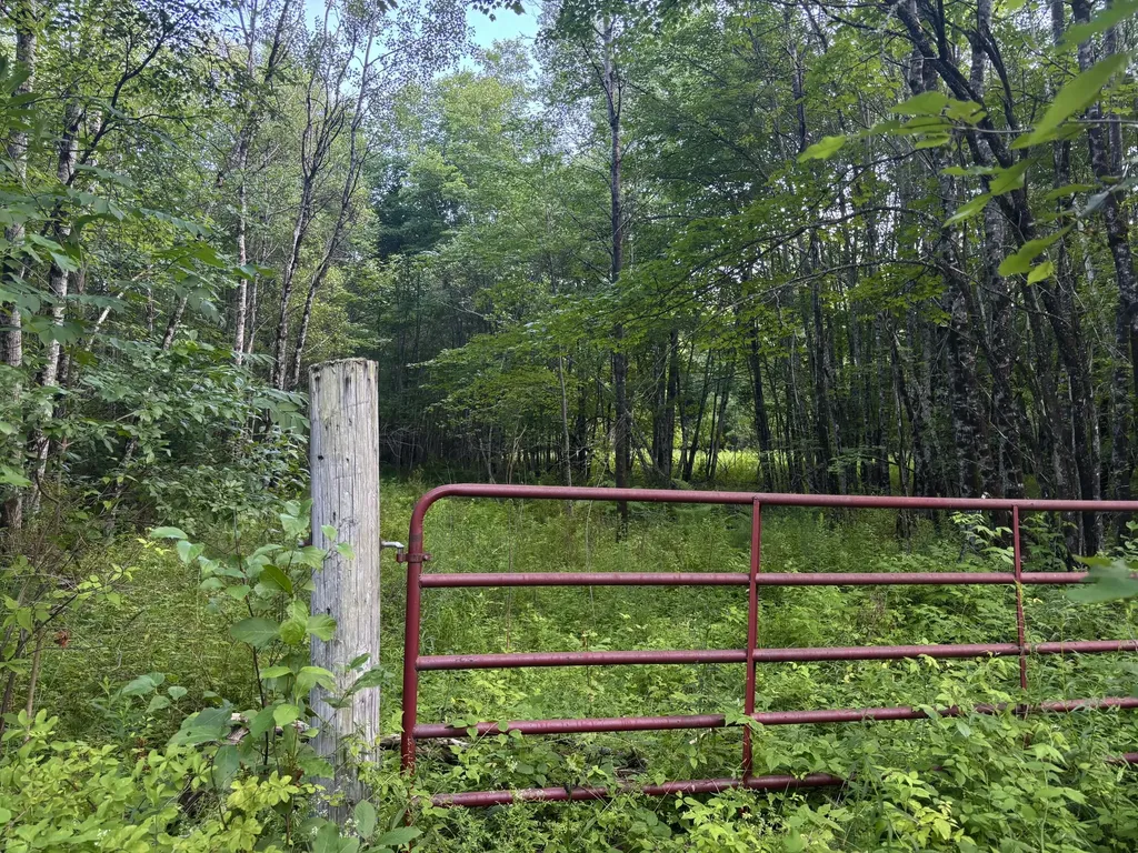 Lot 4/4a N Horseback Road Burnham ME 04922