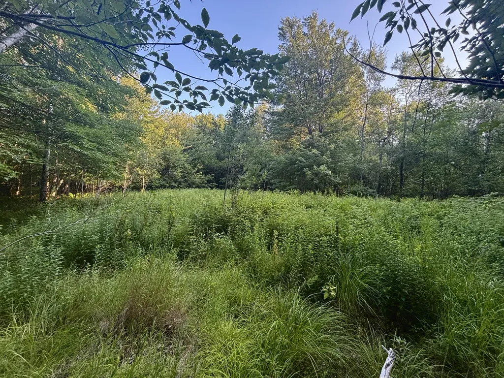 Lot 4/4a N Horseback Road Burnham ME 04922