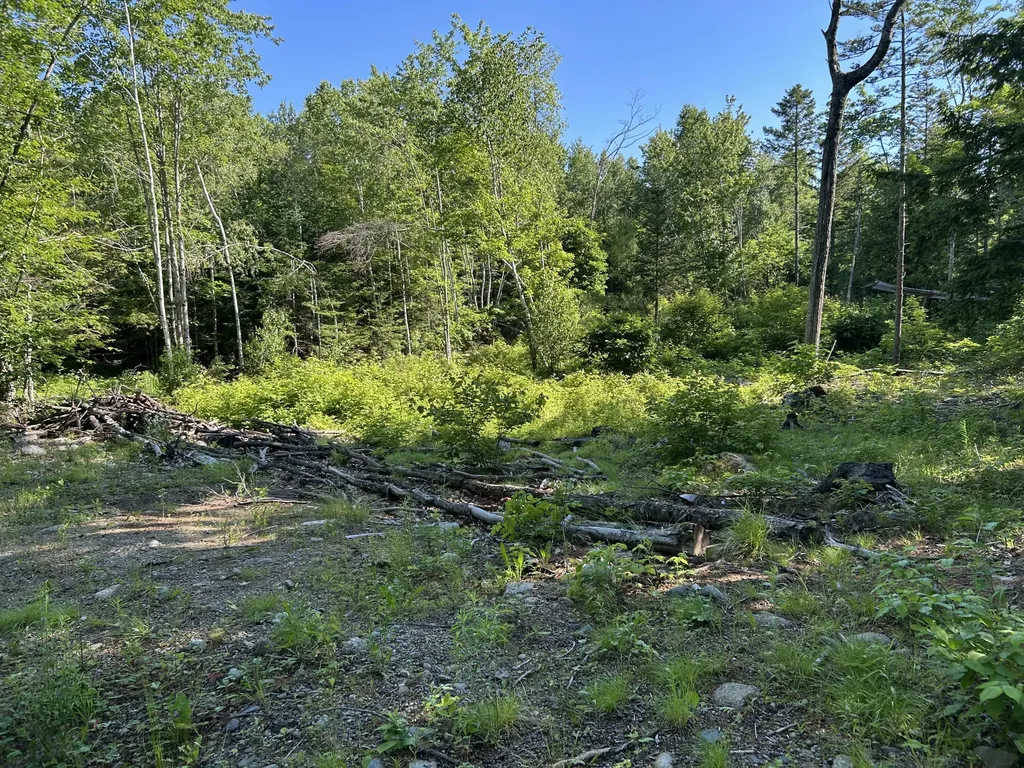 M8B40L3-1 Hamm Road Frankfort ME 04438