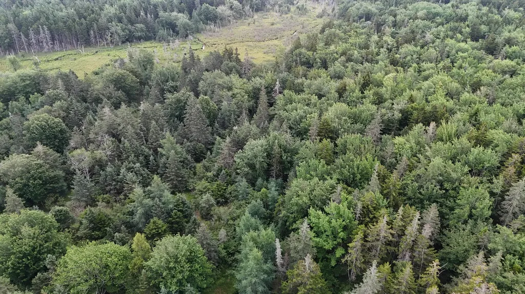 36 Lemoine (map 12 Lot 36) Road Swans Island ME 04685
