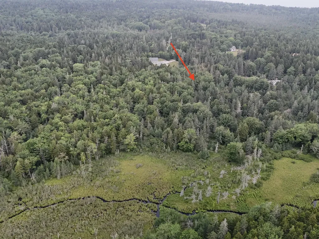 36 Lemoine (map 12 Lot 36) Road Swans Island ME 04685