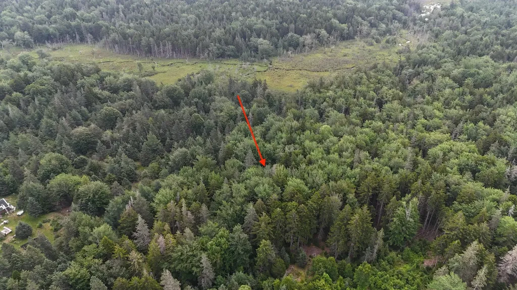 36 Lemoine (map 12 Lot 36) Road Swans Island ME 04685