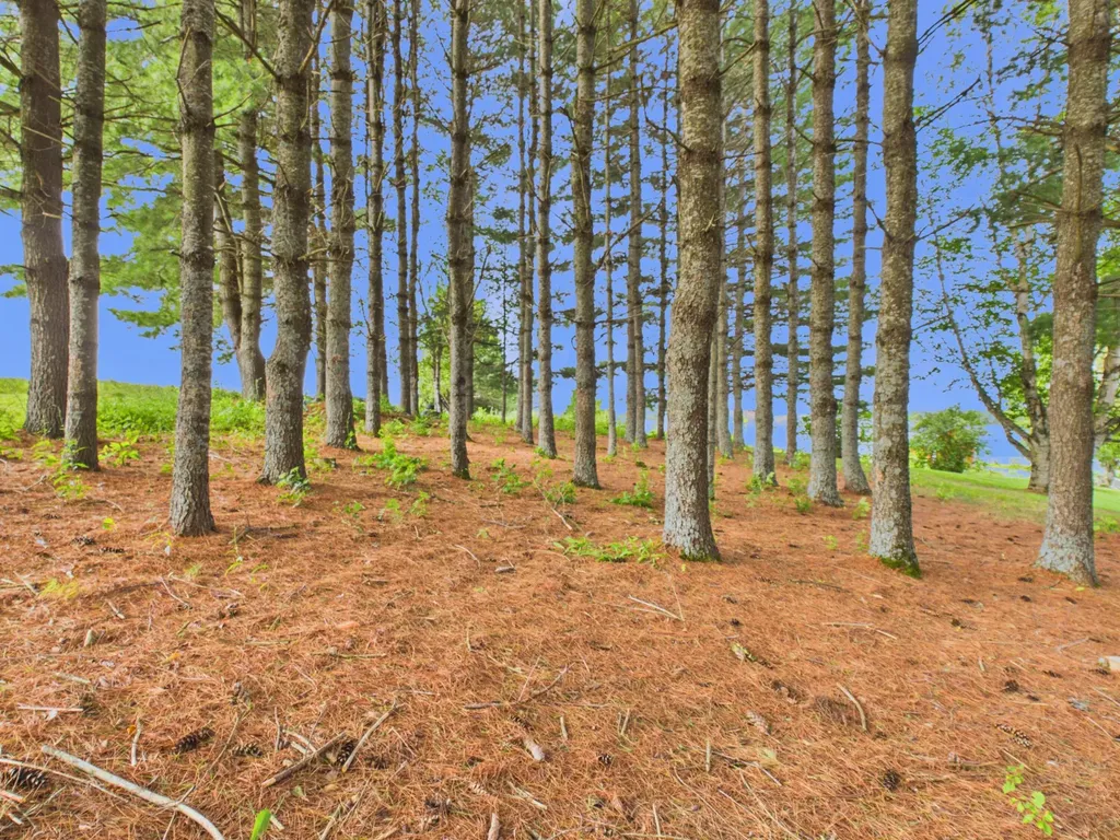 1405 Washburn Road Washburn ME 04786