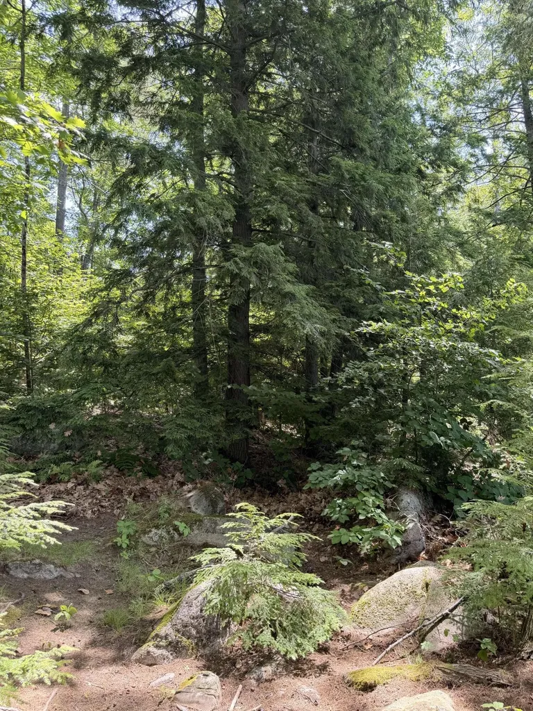 184 Sand Pond Road Chesterville ME 04938