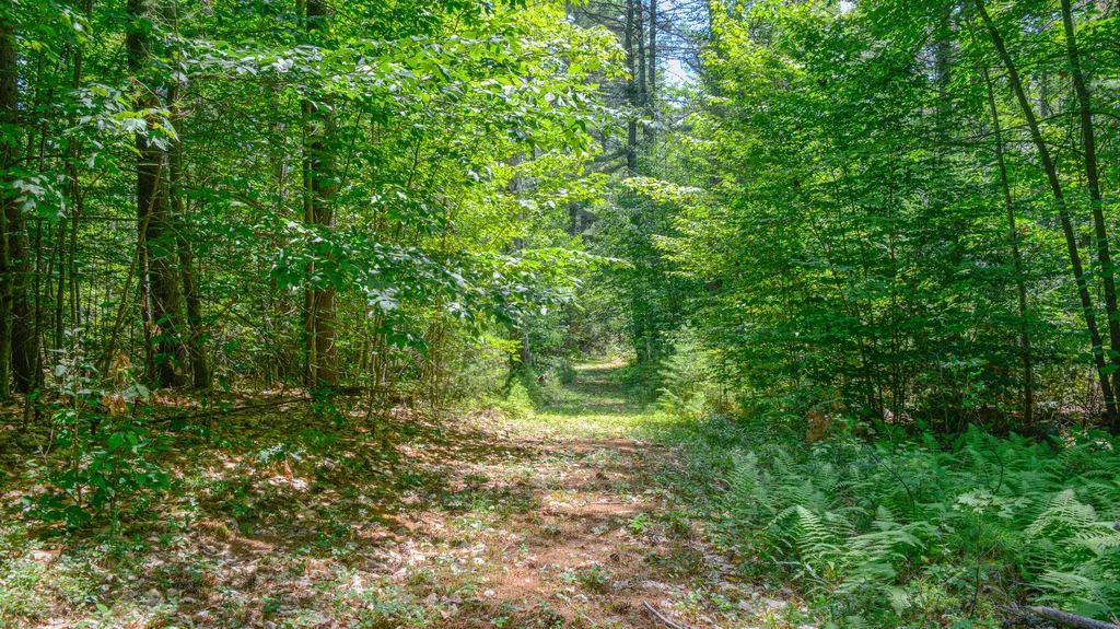 R08-004 Fern Drive Lovell ME 04051