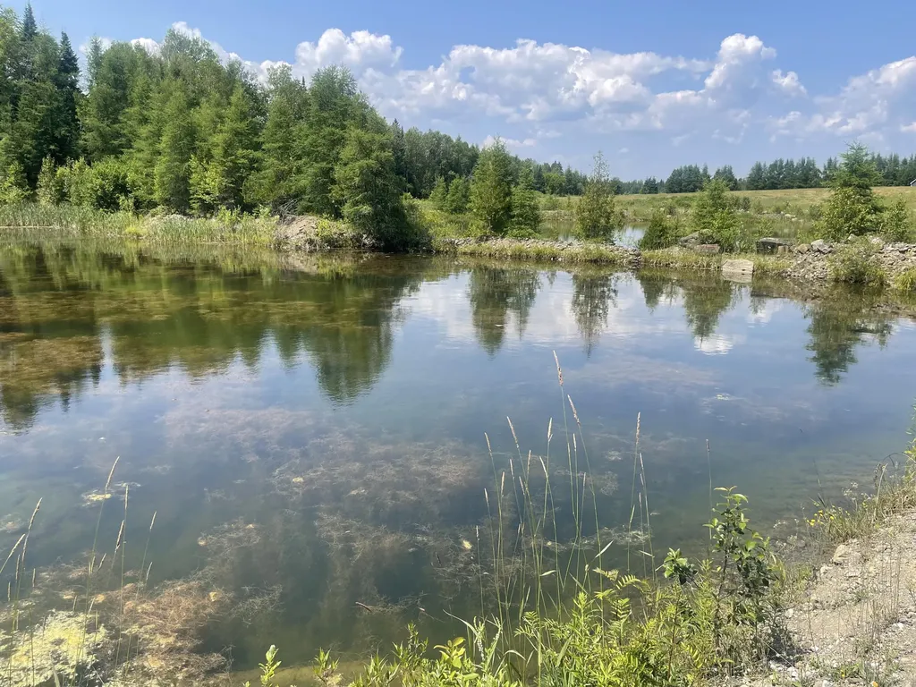 Lot 42 Lombard Road Caribou ME 04736